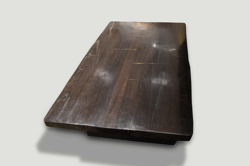 Super Smooth Petrified Wood Coffee Table
