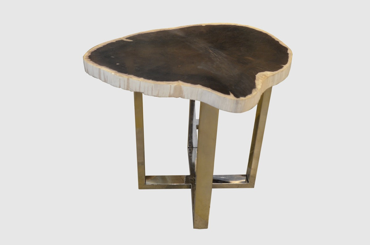 Petrified Wood Slab Table With Steel Base