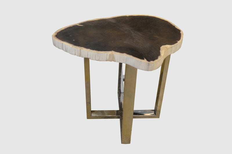 Petrified Wood Slab Table With Steel Base