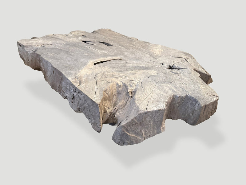 Century Old Bleached Teak Coffee Table