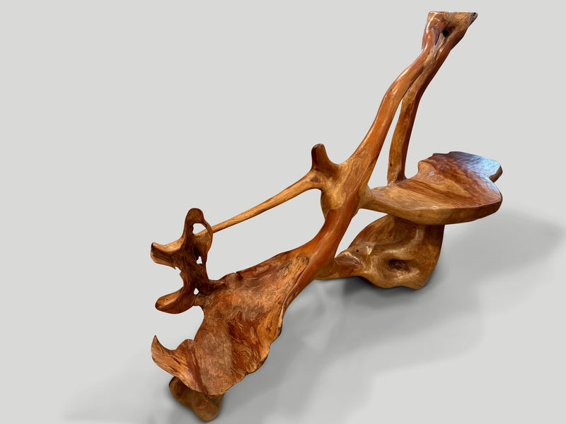 Impressive Sculptural Bench or Art Piece