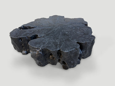 Charred Amorphous Coffee Table