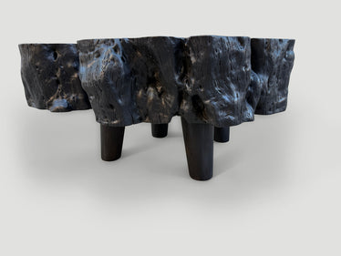 Charred Amorphous Coffee Table