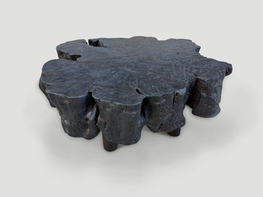 Charred Amorphous Coffee Table