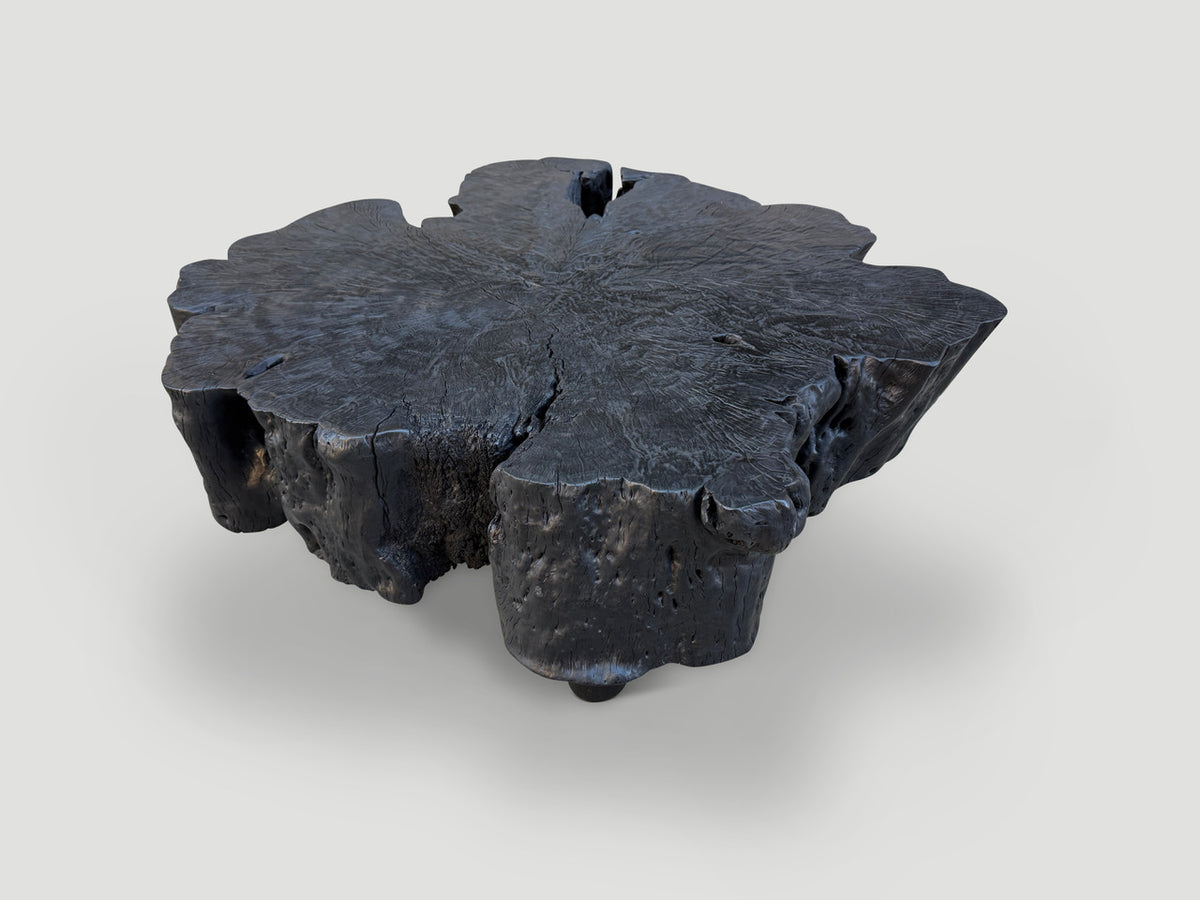 Charred Amorphous Coffee Table