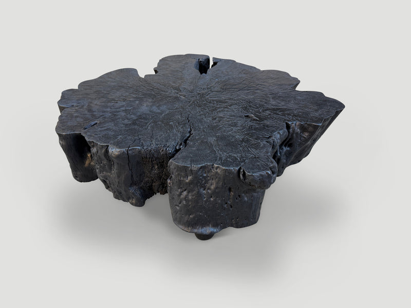Charred Amorphous Coffee Table