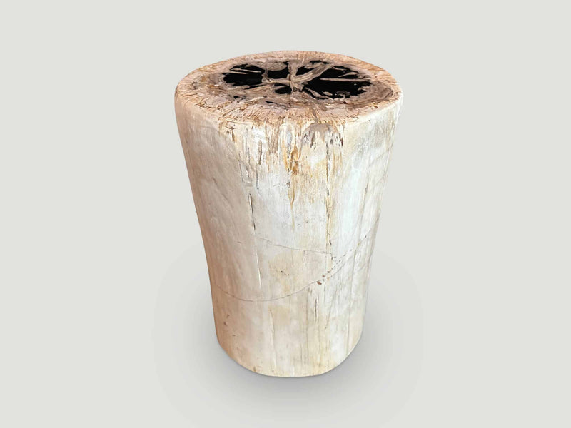 High Quality Petrified Wood Side Table