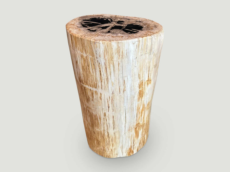 High Quality Petrified Wood Side Table