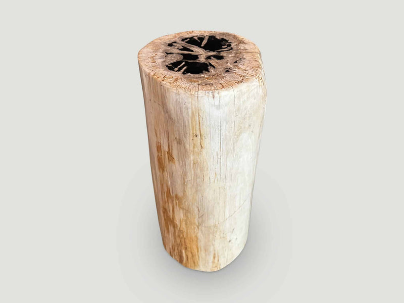 High Quality Petrified Wood Side Table