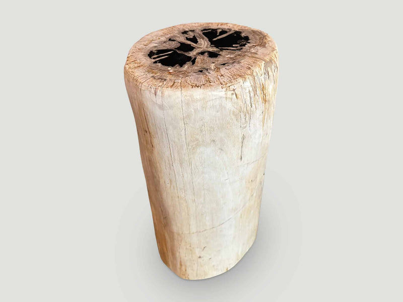 High Quality Petrified Wood Side Table