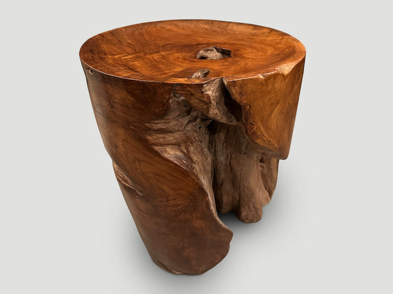 Sculptural Teak Tray Side Table