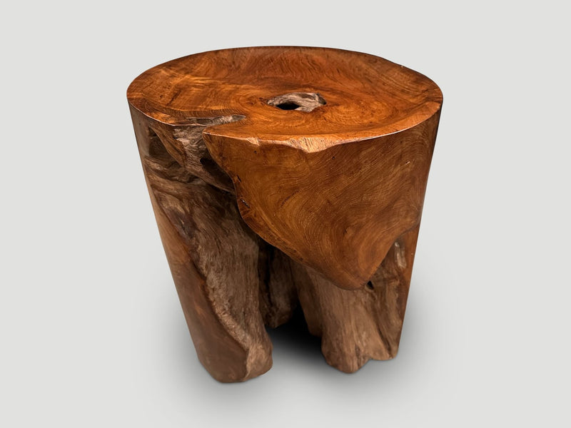 Sculptural Teak Tray Side Table