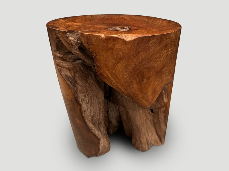 Sculptural Teak Tray Side Table