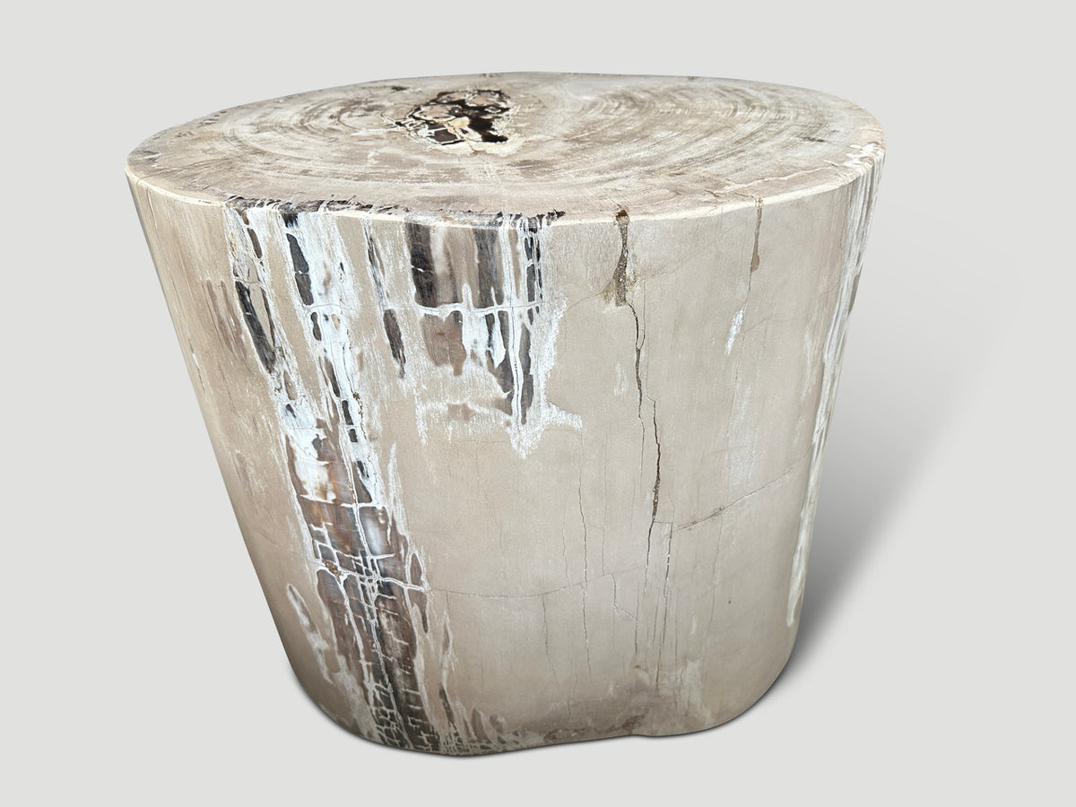Exquisite High Quality Petrified Wood Side Table or Pedestal