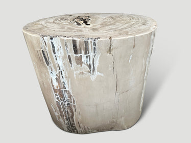 Exquisite High Quality Petrified Wood Side Table or Pedestal