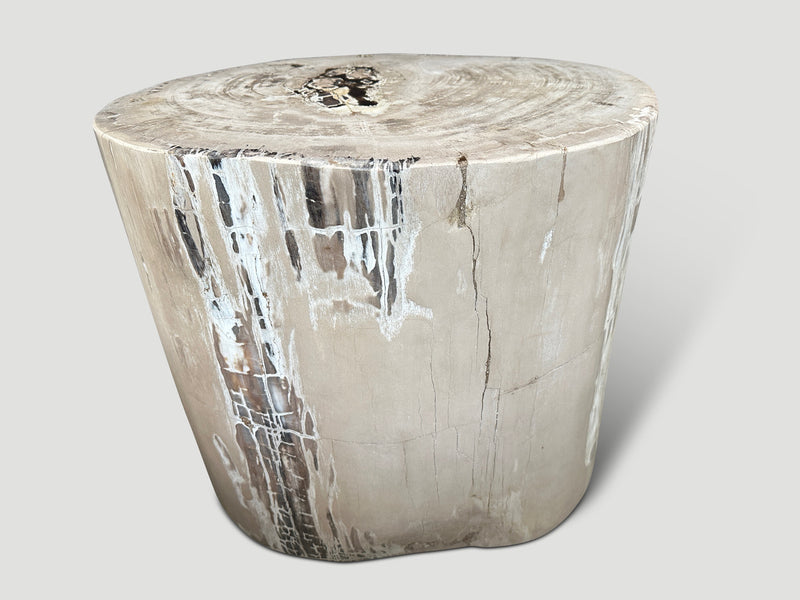Exquisite High Quality Petrified Wood Side Table or Pedestal