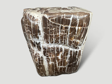 Ancient Sculptural Petrified Wood Side Table