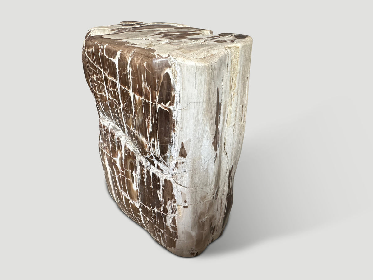 Ancient Sculptural Petrified Wood Side Table