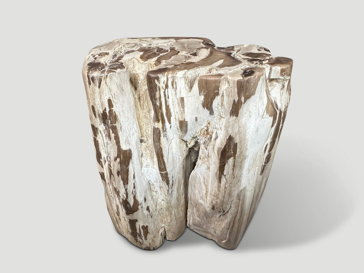 Ancient Sculptural Petrified Wood Side Table