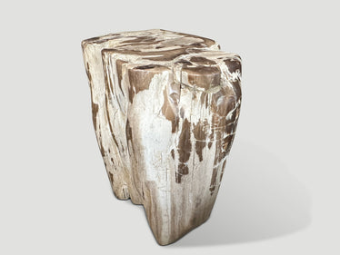Ancient Sculptural Petrified Wood Side Table