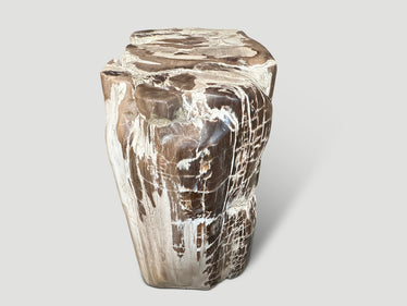 Ancient Sculptural Petrified Wood Side Table