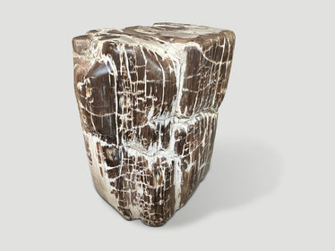 Ancient Sculptural Petrified Wood Side Table