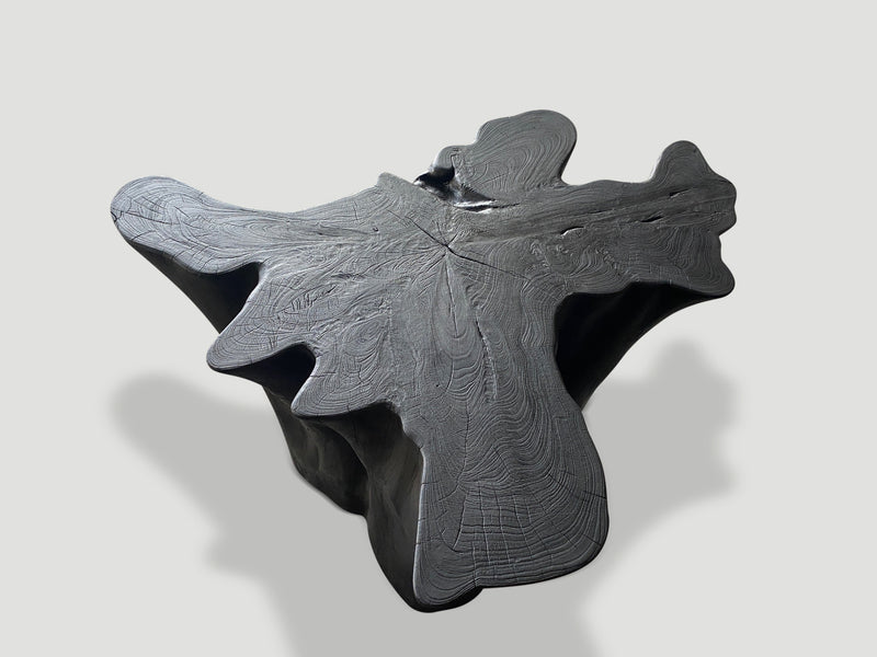 Sculptural Charred Teak Wood Coffee Table