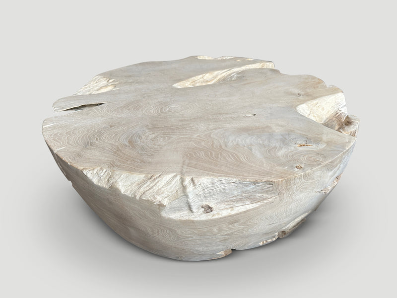 Organic Drum Shape Teak Wood Coffee Table