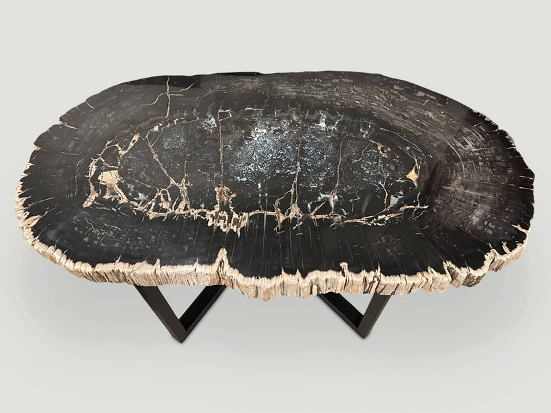 Magnificent Large Petrified Wood Table