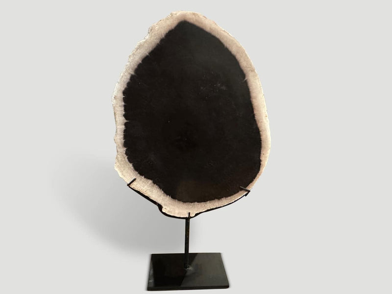 Minimalist Petrified Wood on Stand