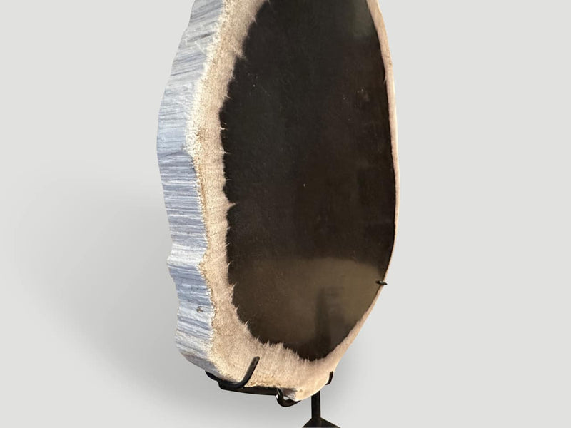 Minimalist Petrified Wood on Stand