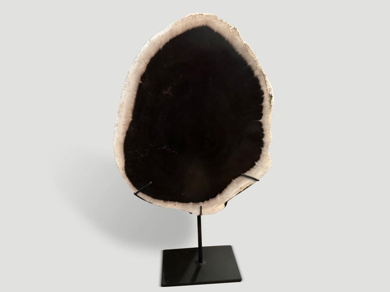 Minimalist Petrified Wood on Stand