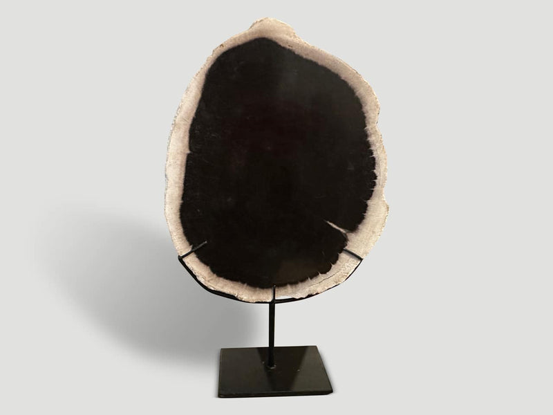 Minimalist Petrified Wood on Stand