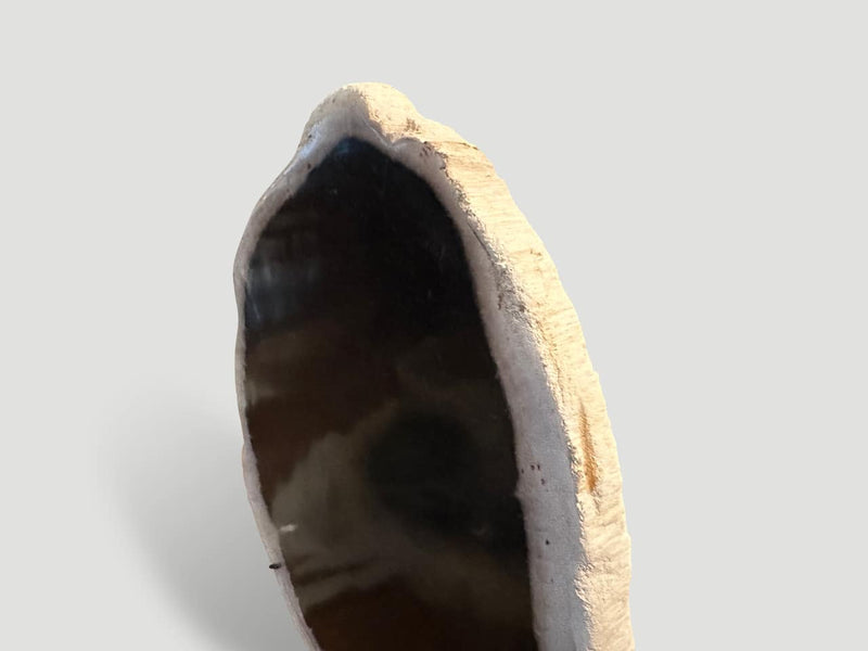 Minimalist Petrified Wood on Stand