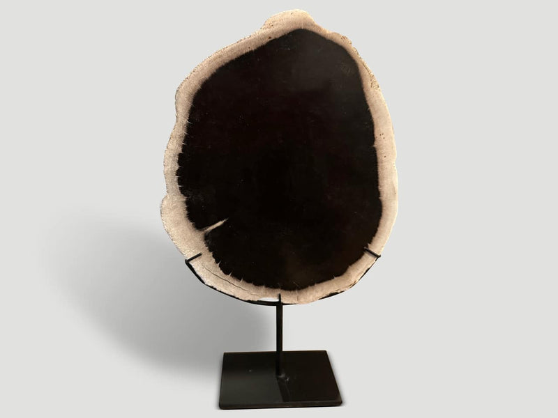 Minimalist Petrified Wood on Stand