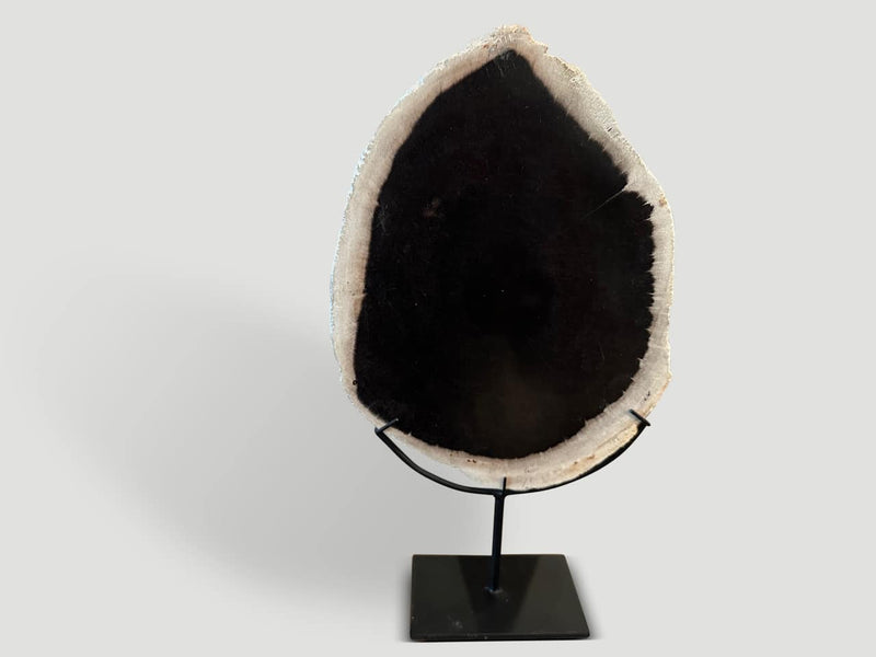 Minimalist Petrified Wood on Stand