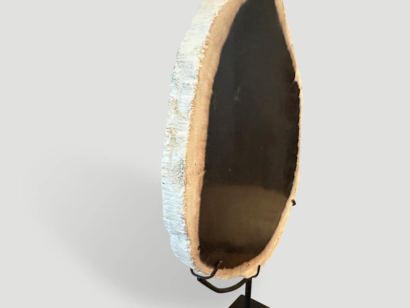 Minimalist Petrified Wood on Stand