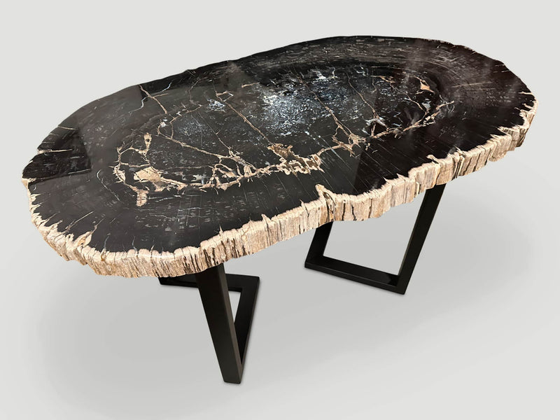 Magnificent Large Petrified Wood Table