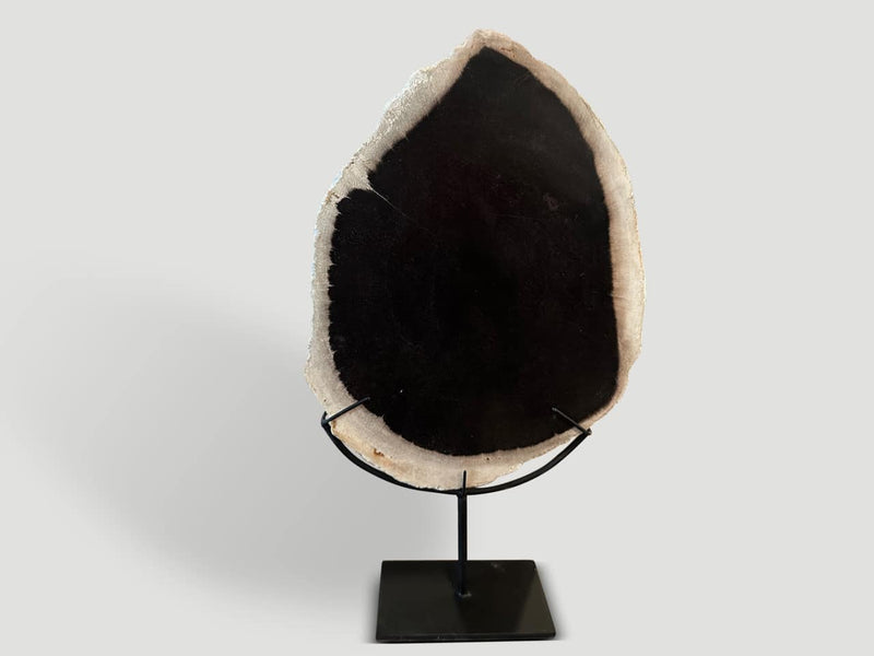 Minimalist Petrified Wood on Stand