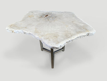 Minimalist Super Smooth Petrified Wood Tall Side Table