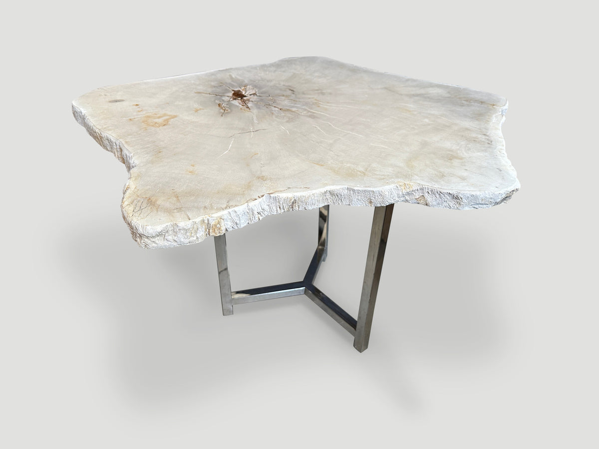 Minimalist Super Smooth Petrified Wood Tall Side Table