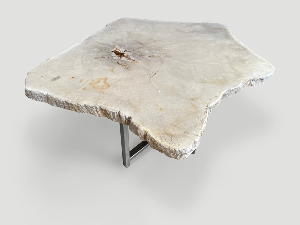 Minimalist Super Smooth Petrified Wood Tall Side Table