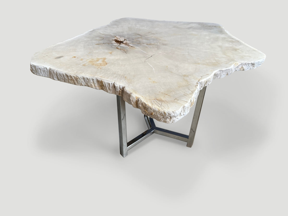 Minimalist Super Smooth Petrified Wood Tall Side Table