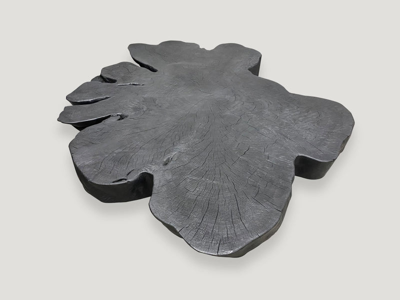 Biomorphic Sculptural Charred Coffee Table
