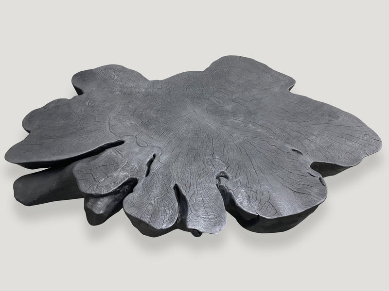 Biomorphic Sculptural Charred Coffee Table