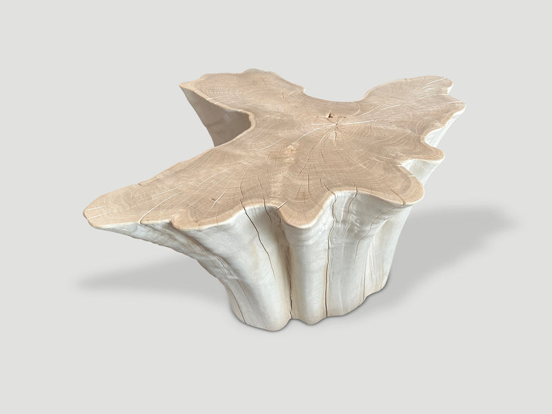 Amorphous Bleached Teak Coffee Table