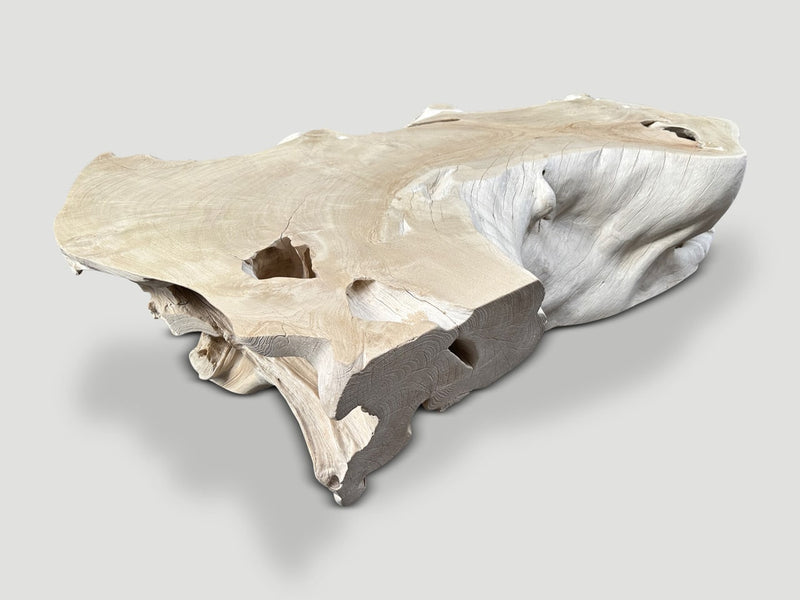 Monumental Bleached Teak Coffee Table