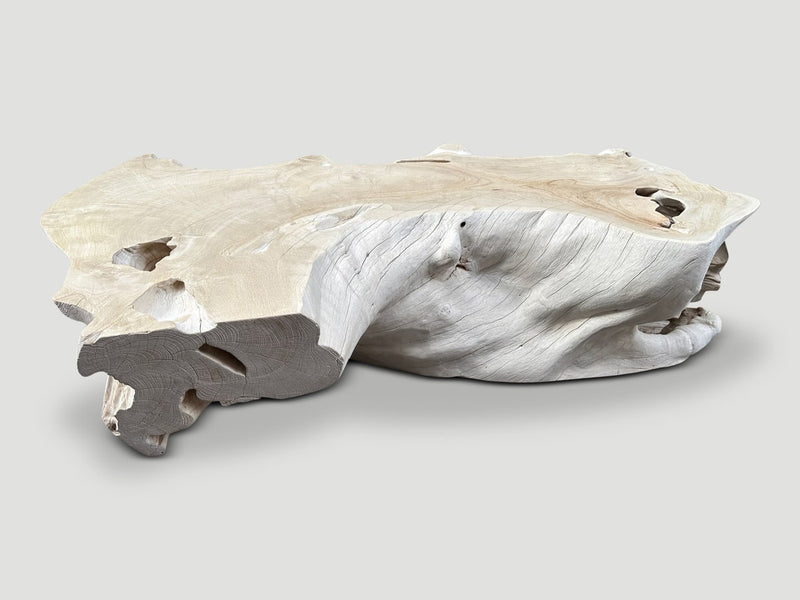 Monumental Bleached Teak Coffee Table