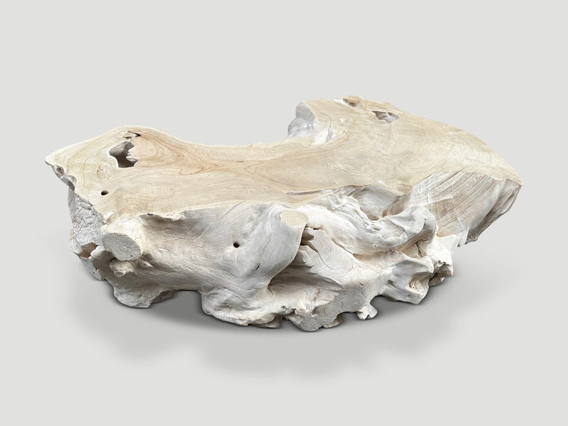 Monumental Bleached Teak Coffee Table