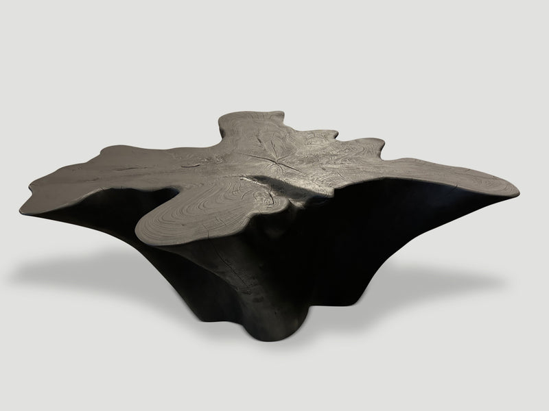 Sculptural Charred Teak Wood Coffee Table